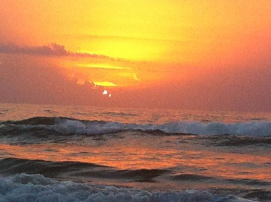 Andy Bowie Park-南帕诸岛必去景点