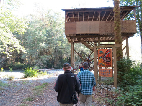 Homalco Wildlife & Cultural Tours-坎贝尔里弗必去景点