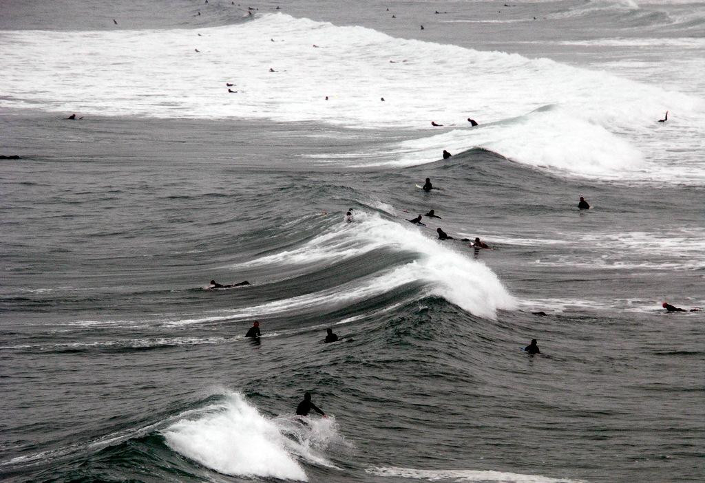 Surfside Hotel主图