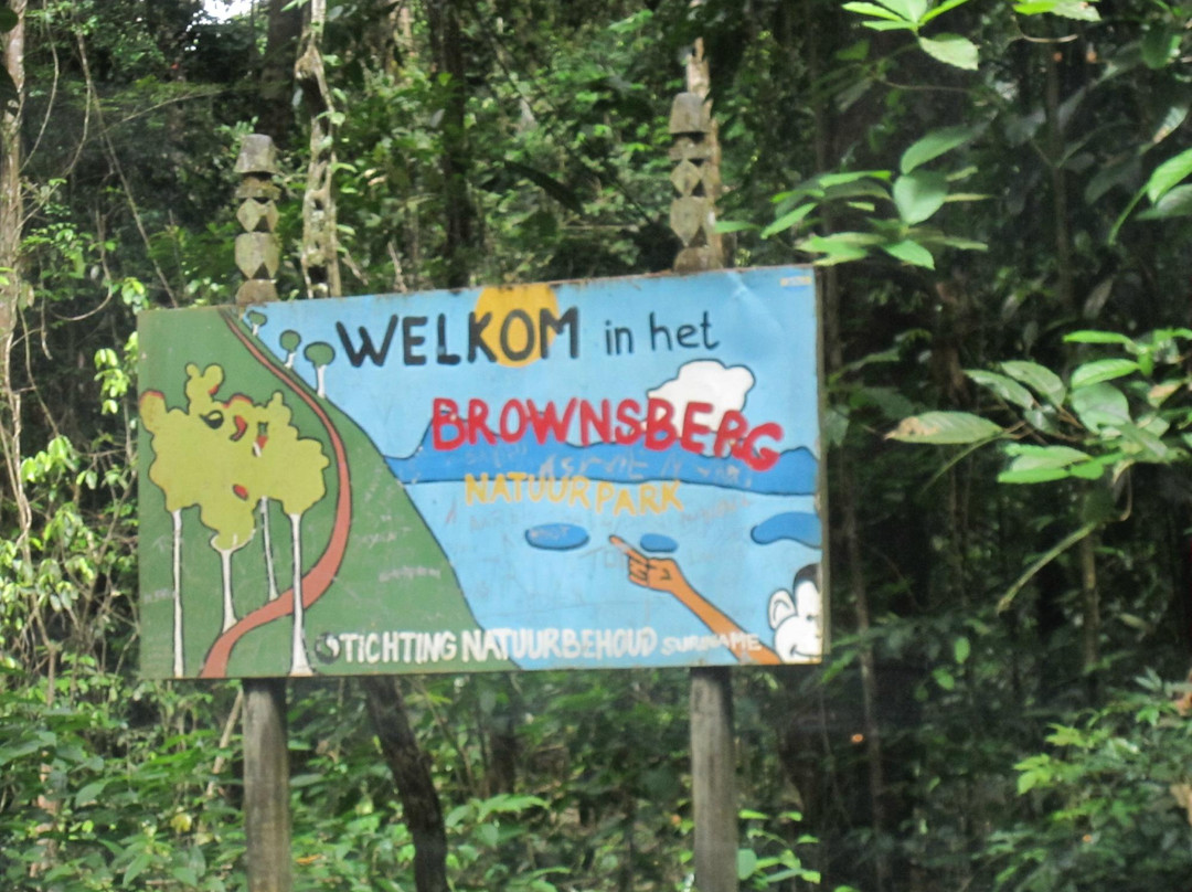 Brownsberg Nature Park-帕拉马里博必去景点