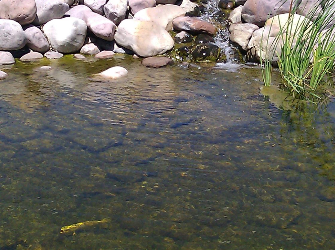 Chinese Joss House Museum-埃文斯顿必去景点
