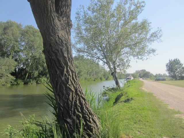 Pont Van-Gogh (Pont de Langlois)-阿尔勒必去景点