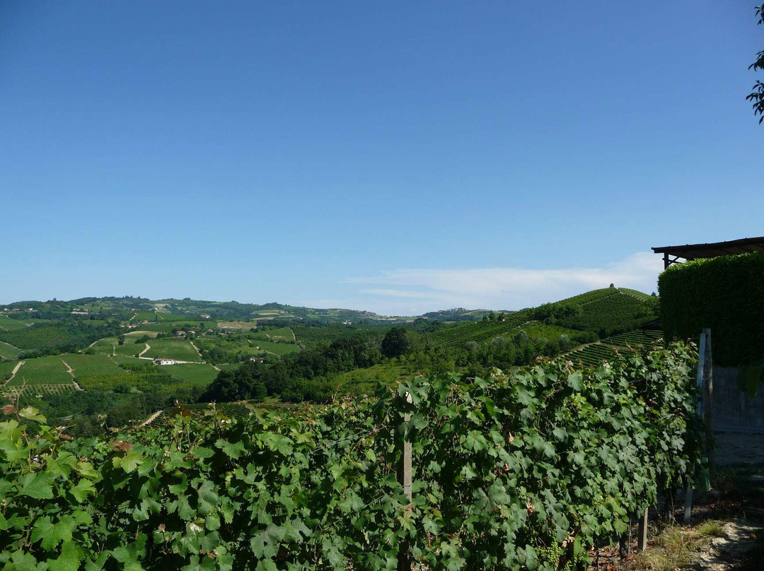 Boroli - Cantina "La Brunella"-Castiglione Falletto必去景点