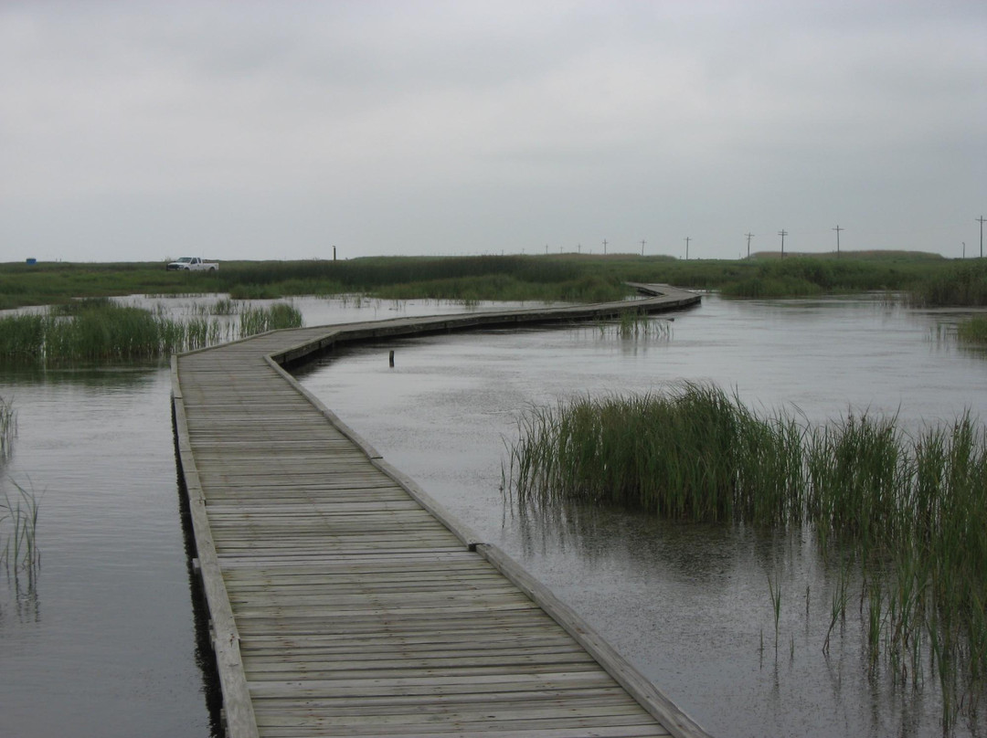 Sea Rim State Park-Port Arthur必去景点