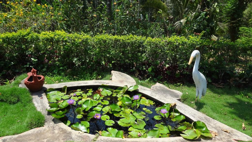 Inchara Homestay主图