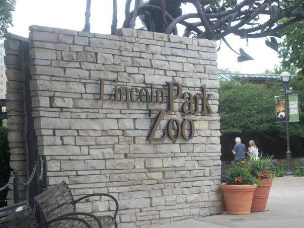 林肯公园动物园-芝加哥必去景点