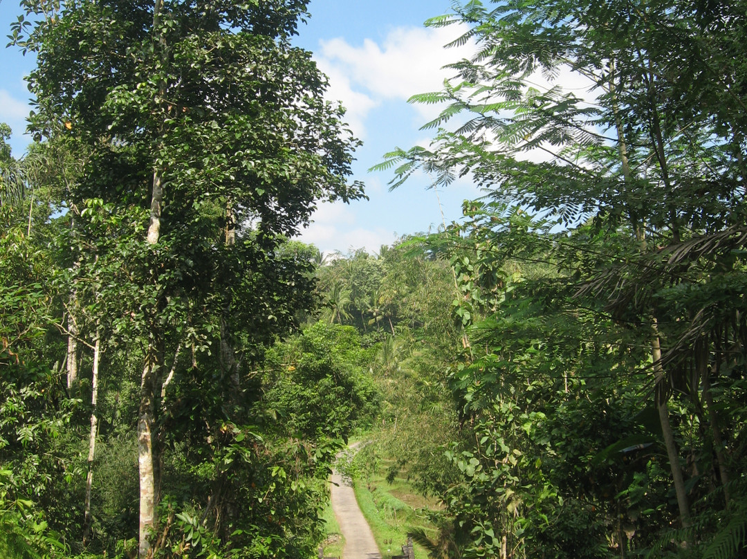 easyGO Classic Jeep Adventure Day Tour-登巴萨必去景点
