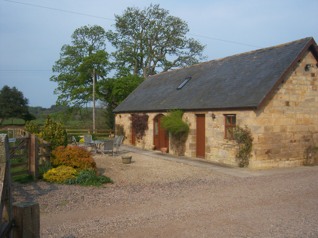 Coquet Accommodation主图