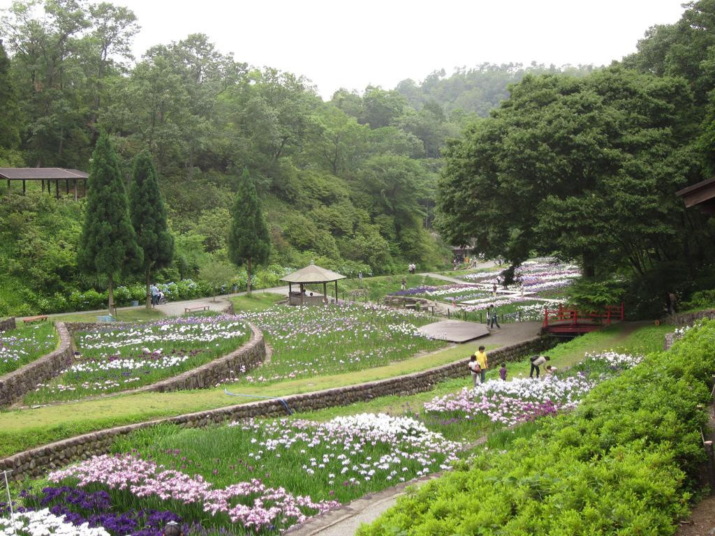 Banshu Yamasaki Hana Iris Garden-肉粟市必去景点