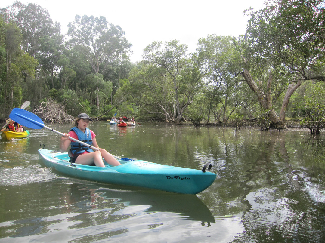Byron Bay Eco Cruises & Kayaks景点图片