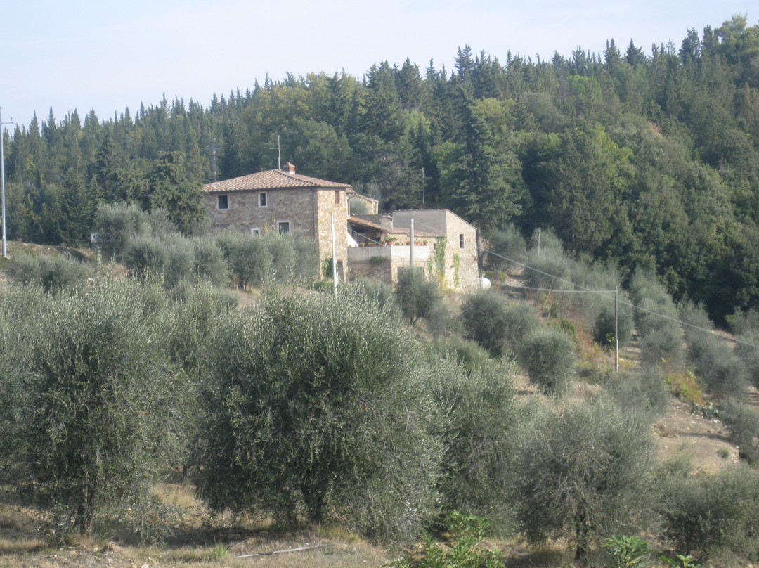 Castello della Paneretta Agriturismo Cooking Class景点图片