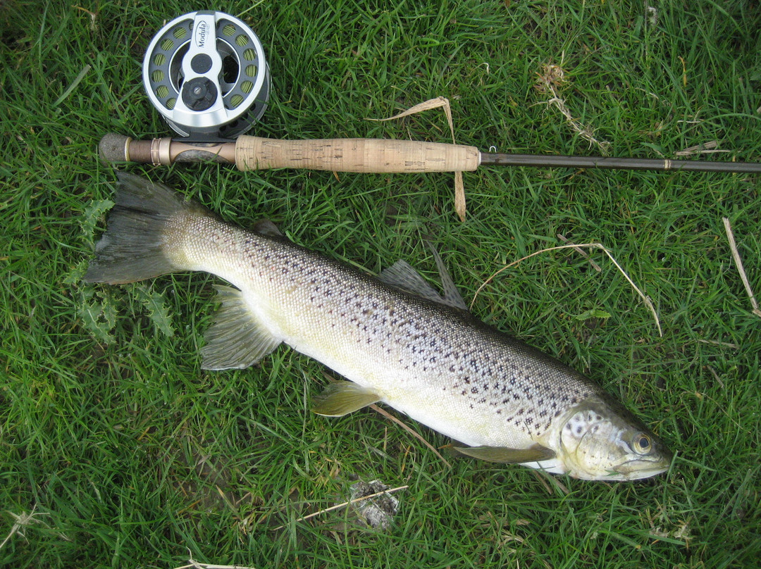 Fly Fish Mataura景点图片