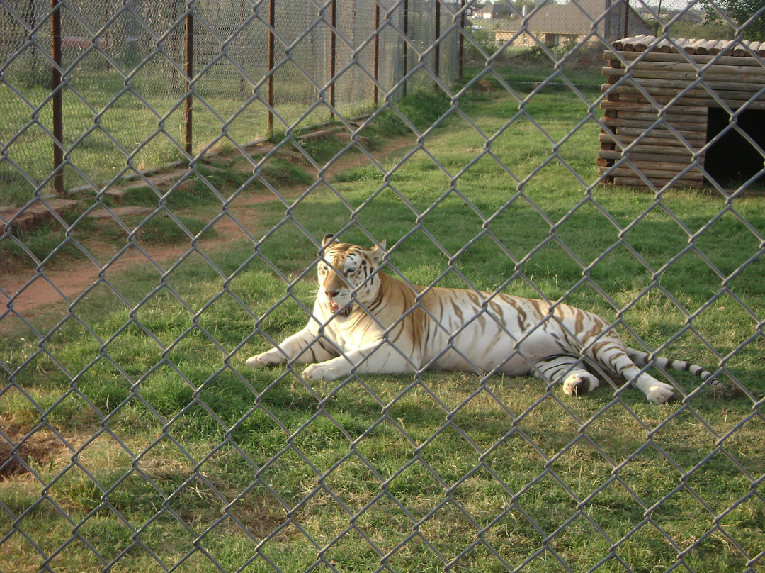 Tiger Safari Zoological Park-Tuttle必去景点