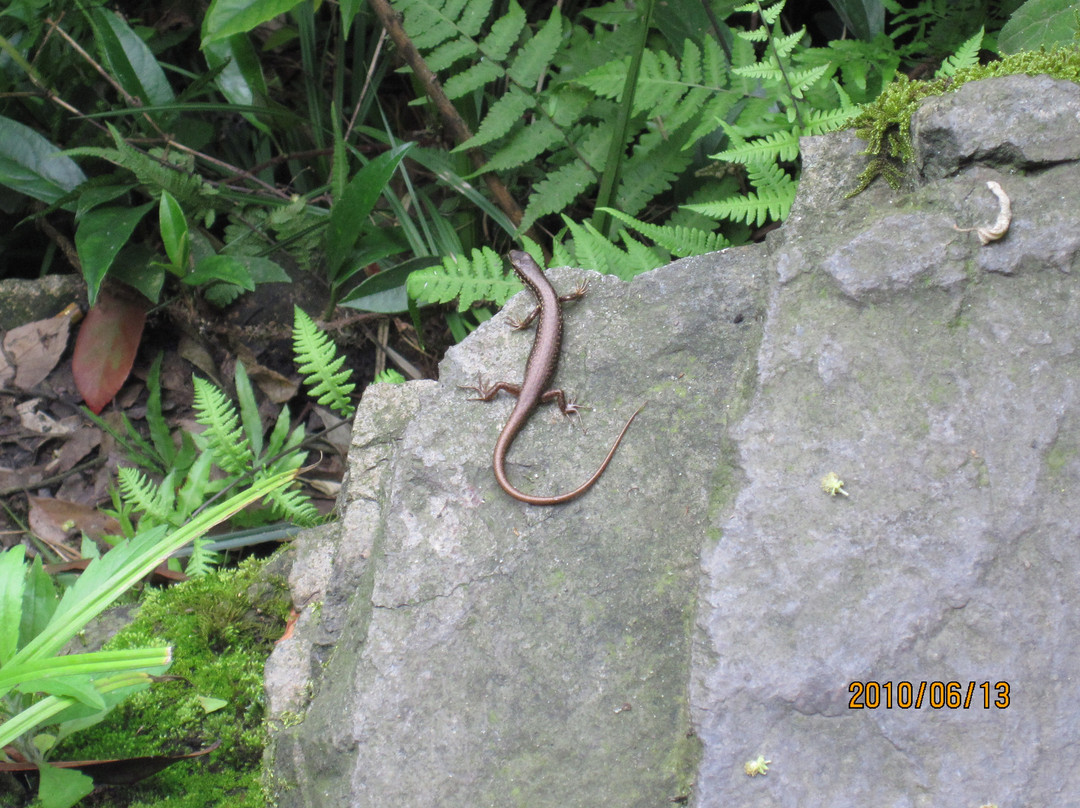 西湖天地-杭州市必去景点