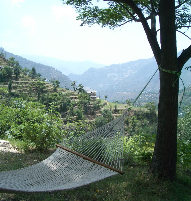 Himalayan Orchard Huts