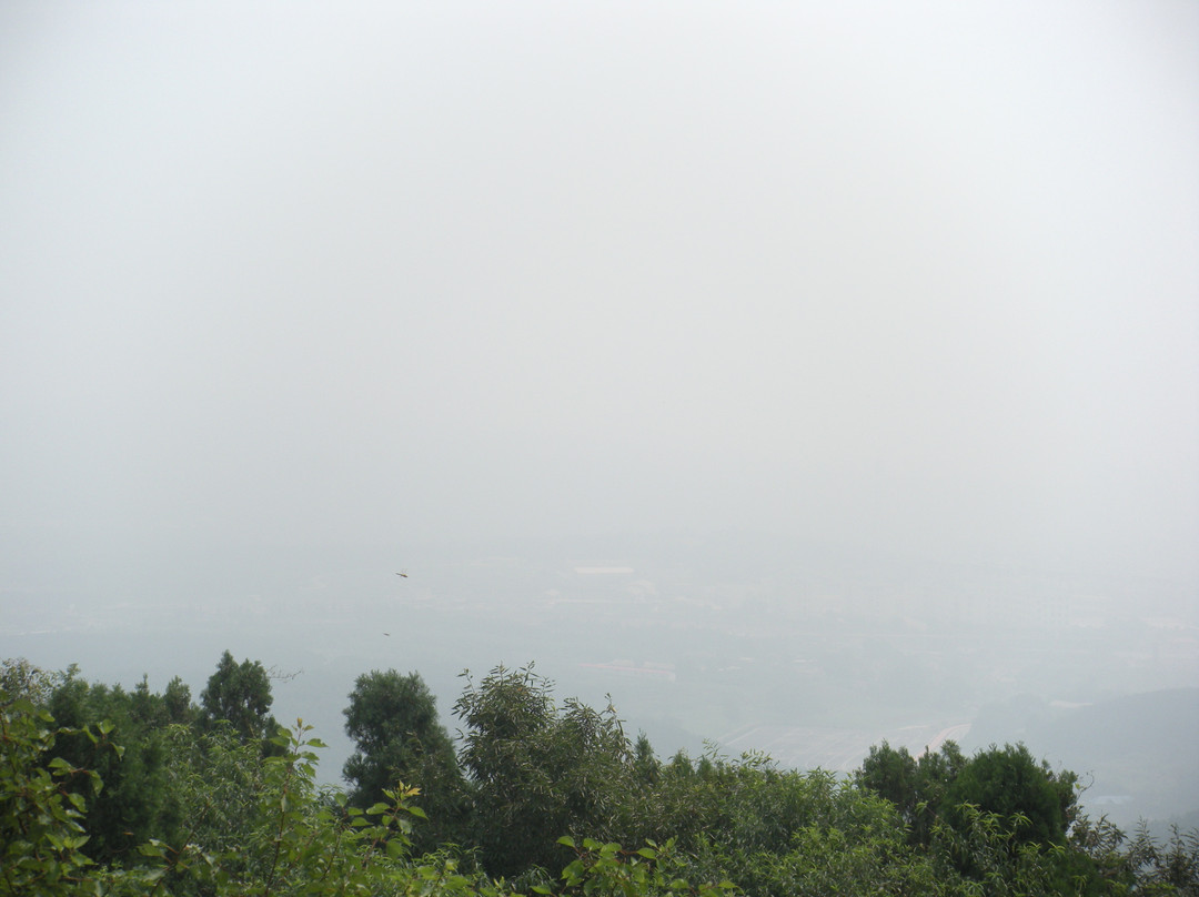 猴石山-大连市必去景点