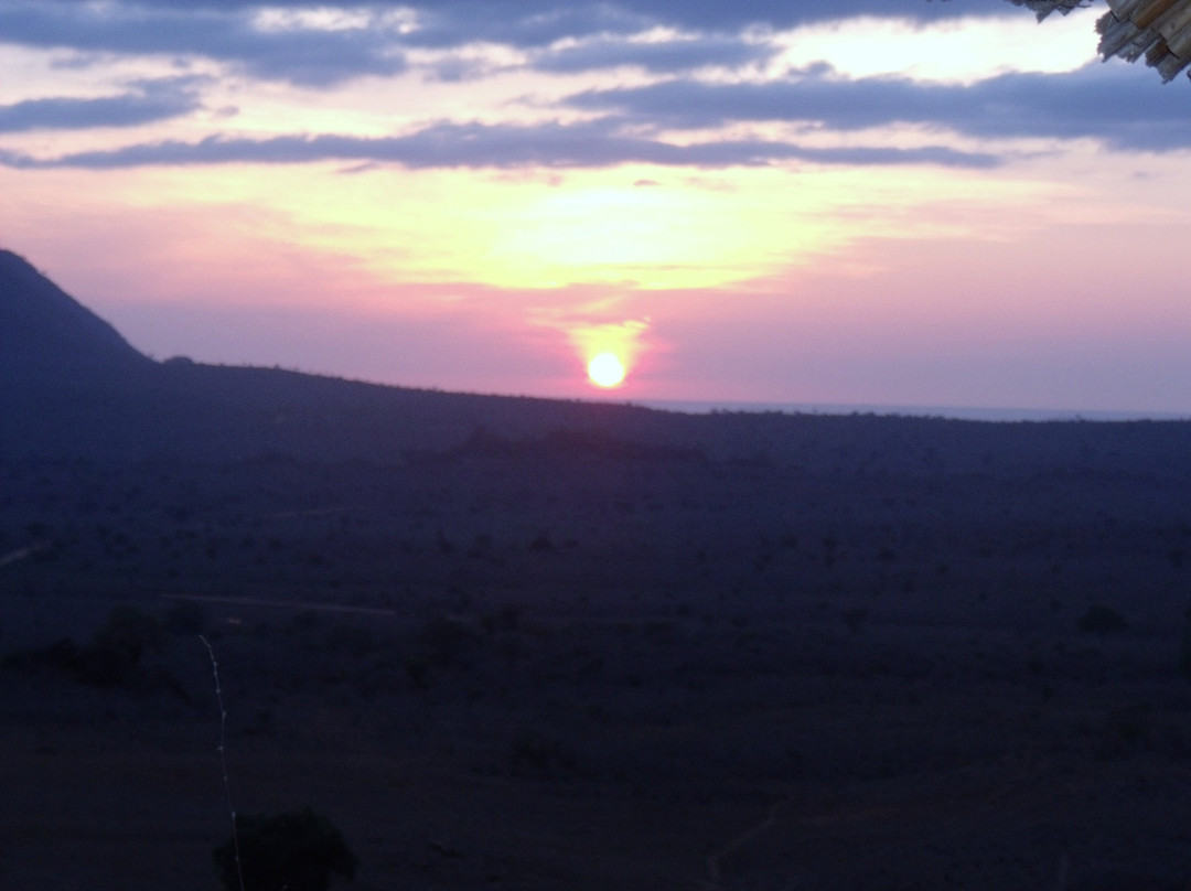 Wildlife Kenya Safaris - Day Trips-蒙巴萨必去景点