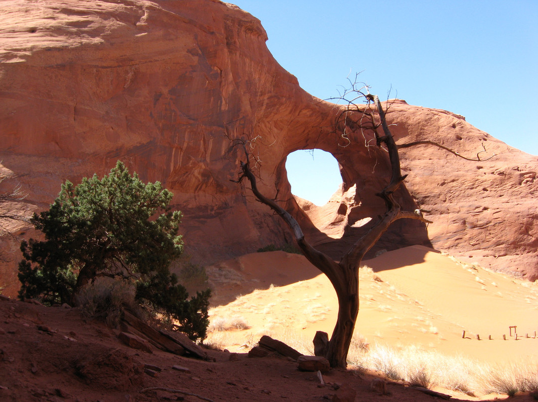 Roy Black's Guided Tours-纪念碑公园必去景点