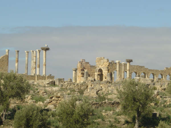 沃吕比利斯-梅克内斯-塔菲拉勒特区必去景点