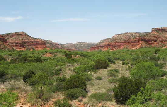 Caprock Canyons State Park-Quitaque必去景点