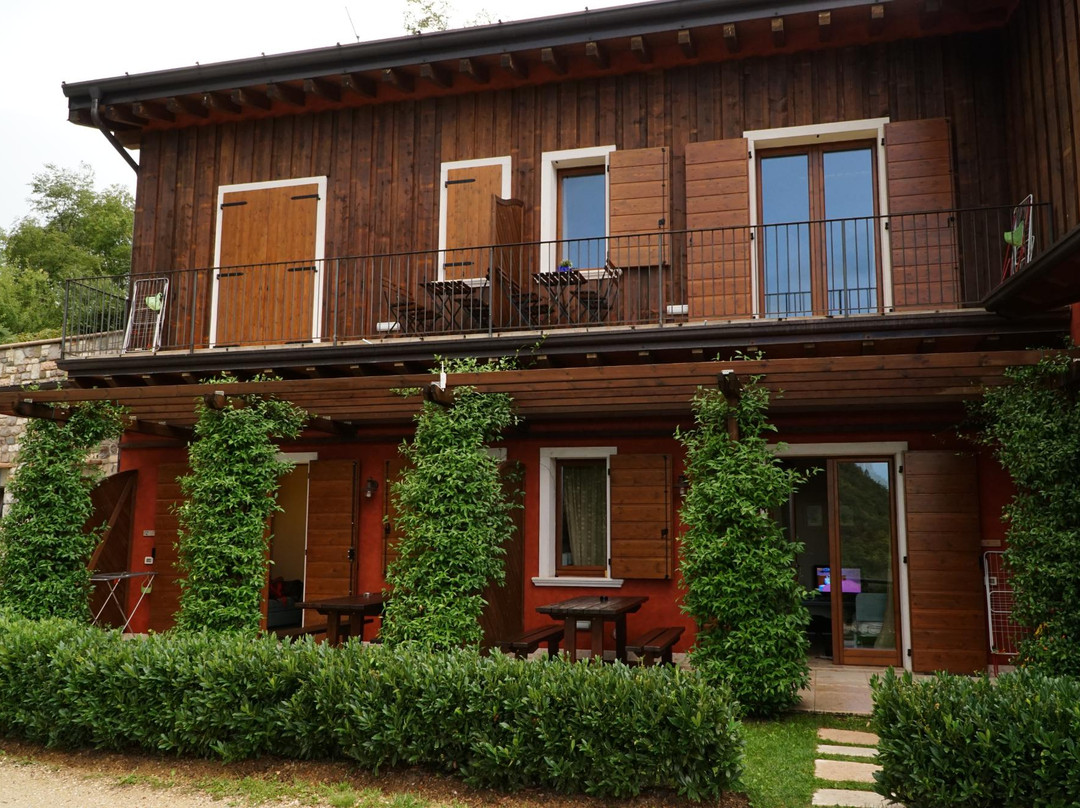 Agriturismo Collini