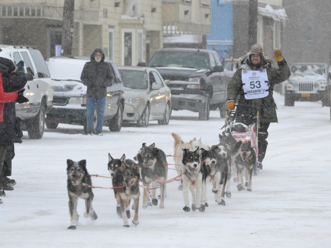 Iditarod Trail Sled Dog Race-安克雷奇必去景点