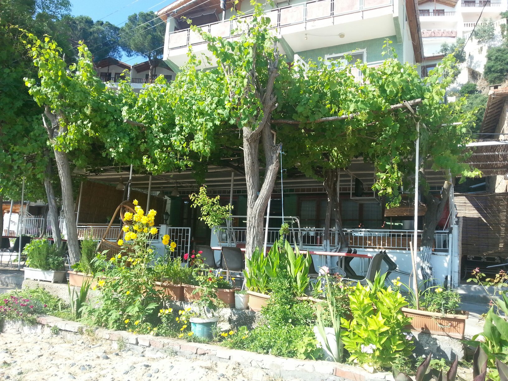 Aygun Motel-官方
