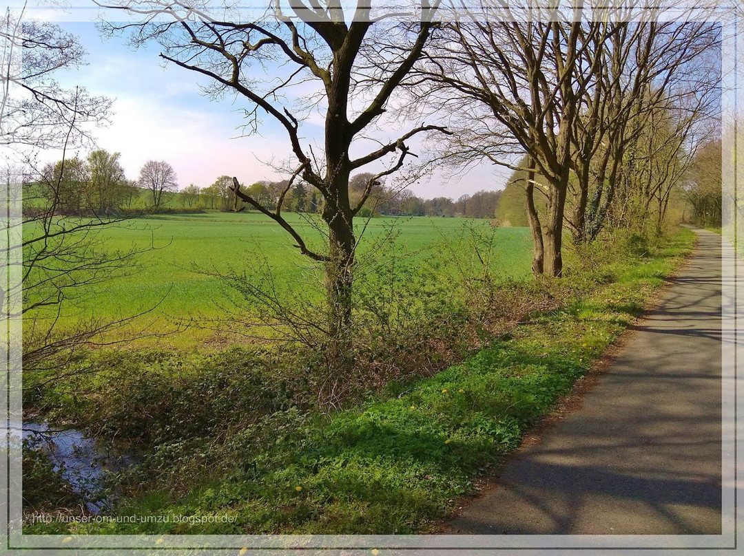 Bahntrassenradweg Damme - Holdorf景点图片