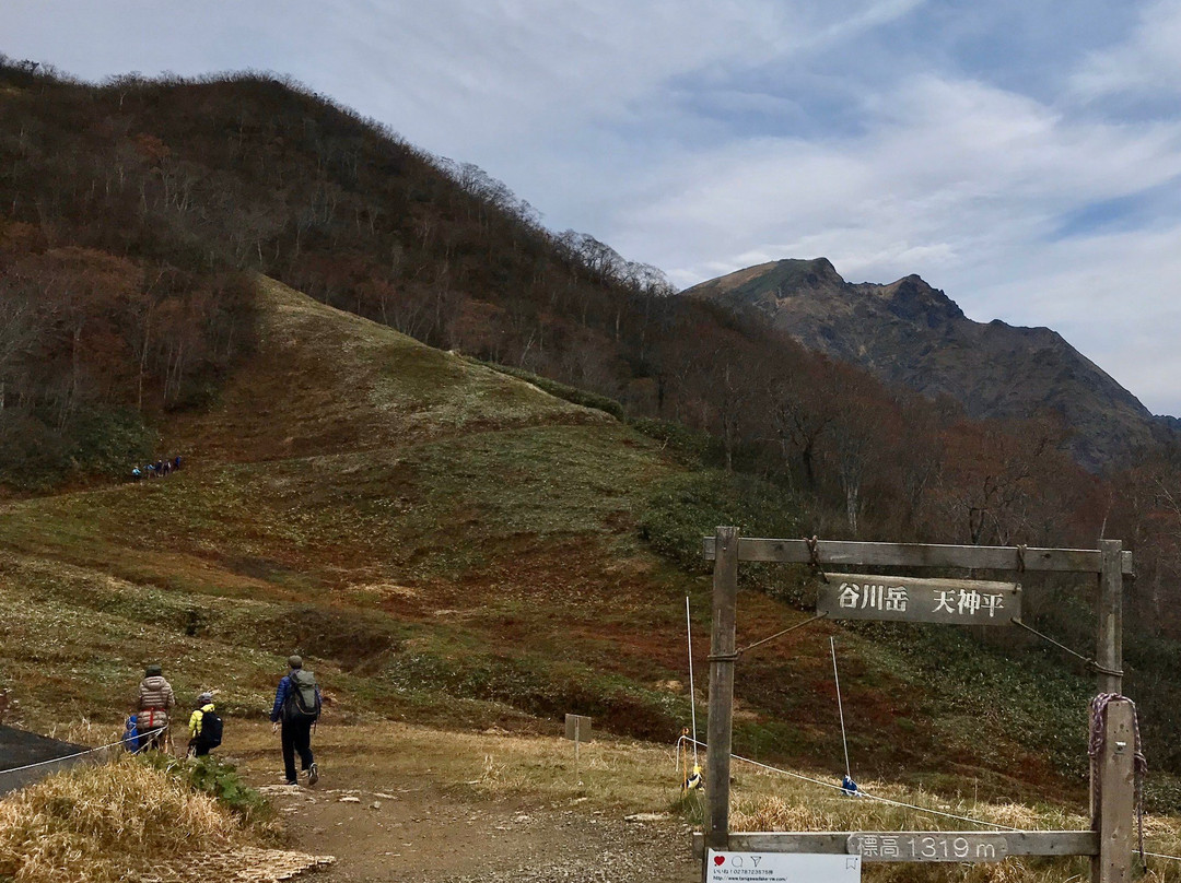 Tanigawadake Tenjindaira Ski Area景点图片