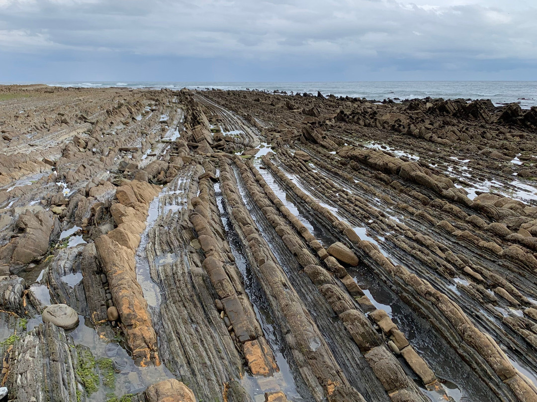 Plage De Sakoneta景点图片