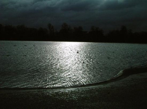 肯辛顿花园-伦敦必去景点