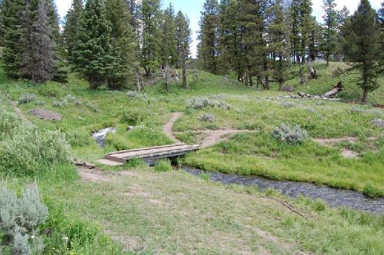 Trout Lake Trail景点图片