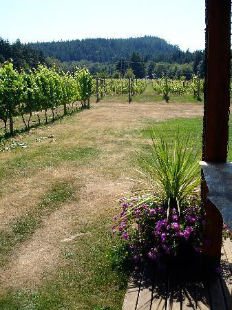 Carbrea Winery景点图片
