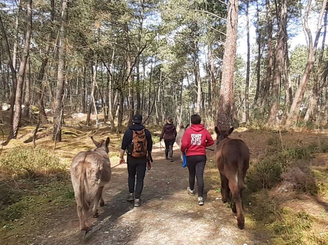 Fontanebleau-Acheres-la-Foret必去景点