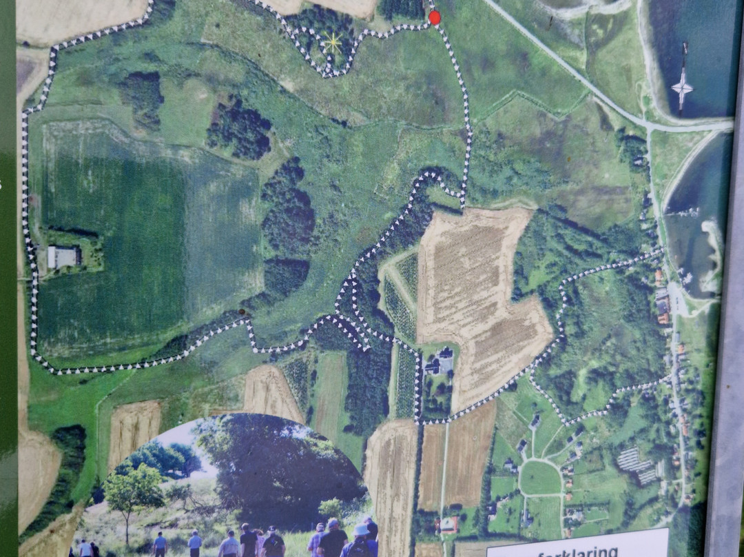 Hellerød kær vandrerute景点图片