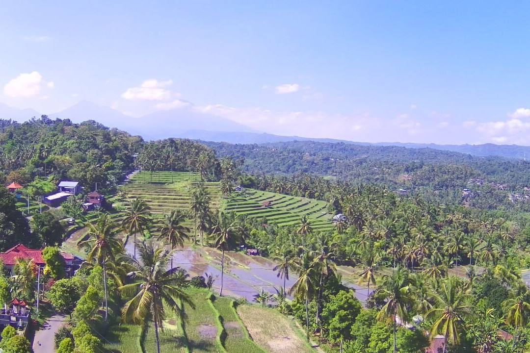 Taman Bidadari Waterfall (Subak Pohasem)景点图片