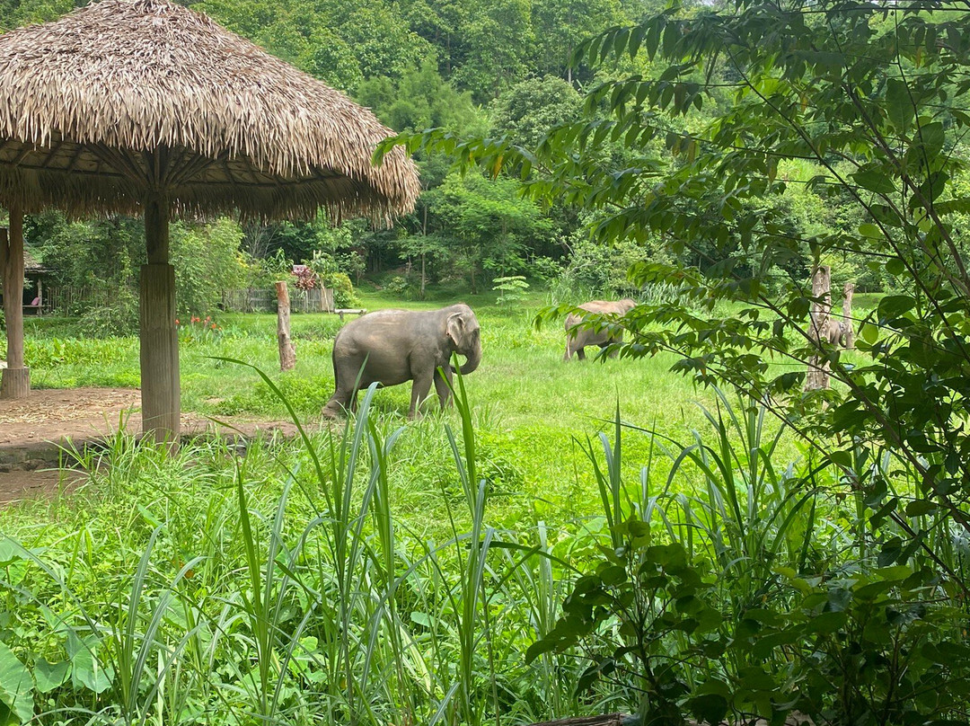 Elephant EcoValley-夜登必去景点