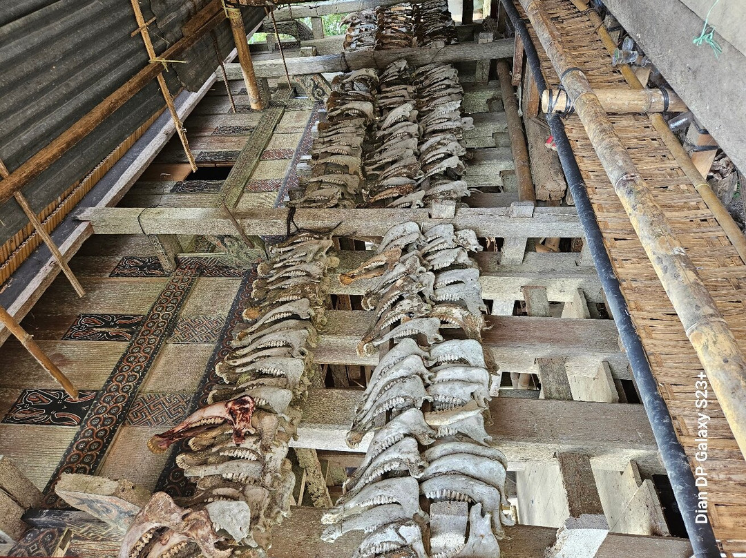 TORAJA TOUR WITH GUIDE SERVICE.景点图片