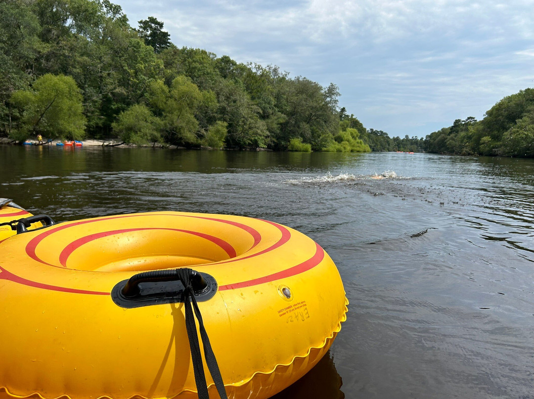 Edisto River Adventures景点图片