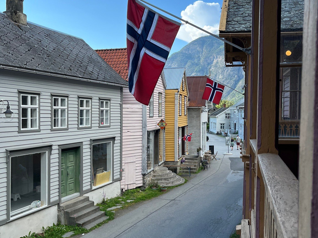 Laerdalsoren Hotel主图