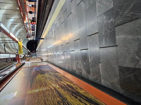 CDMX Electric Bike Tours-墨西哥城必去景点