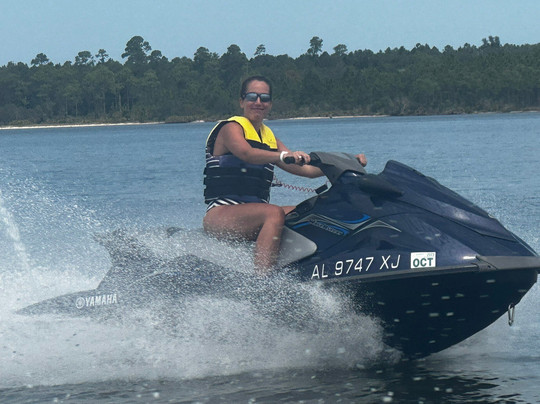 Orange Beach Private Family Dolphin Tours & Boating Safaris-橙色海湾必去景点