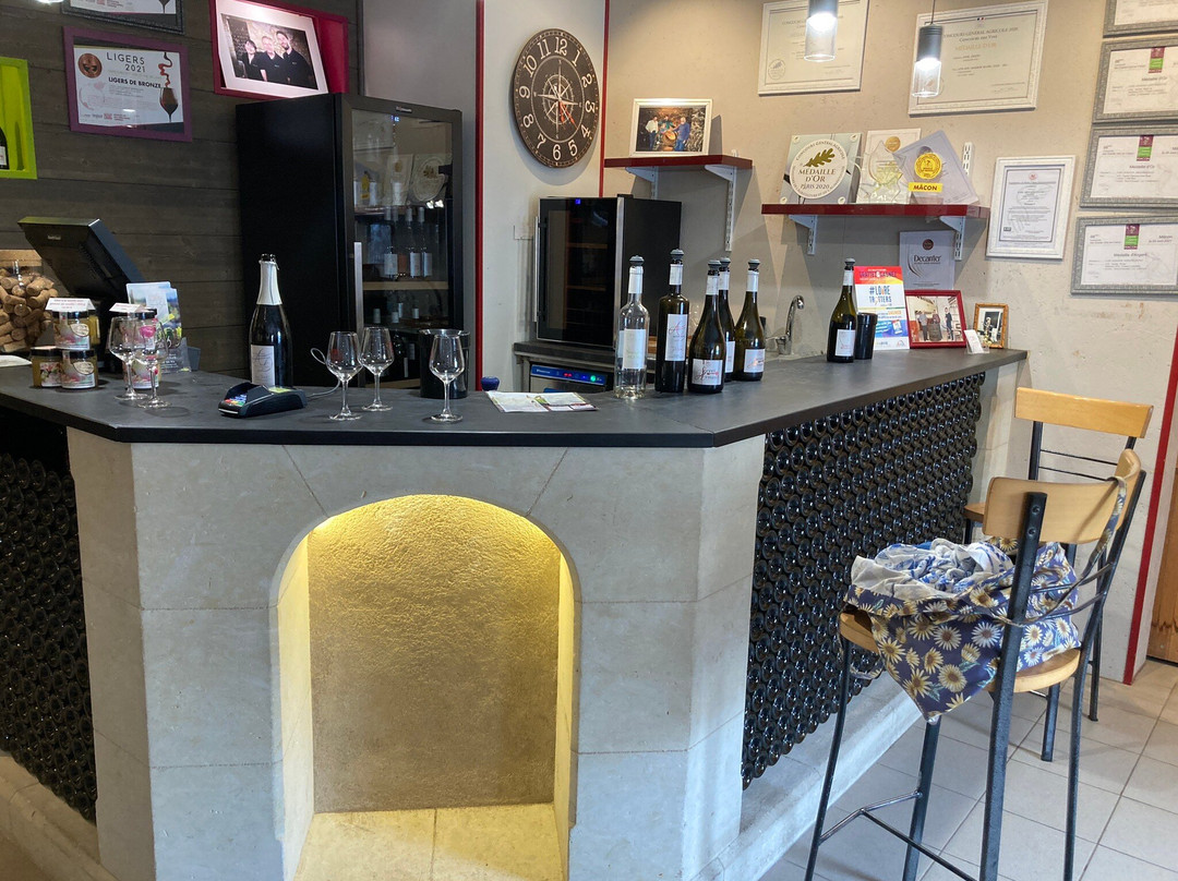 Bumblebee Tours - Loire Valley Wine Experience-梭缪尔必去景点