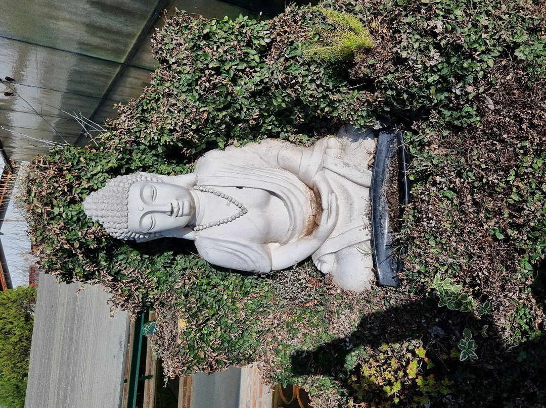 Aquaflores景点图片