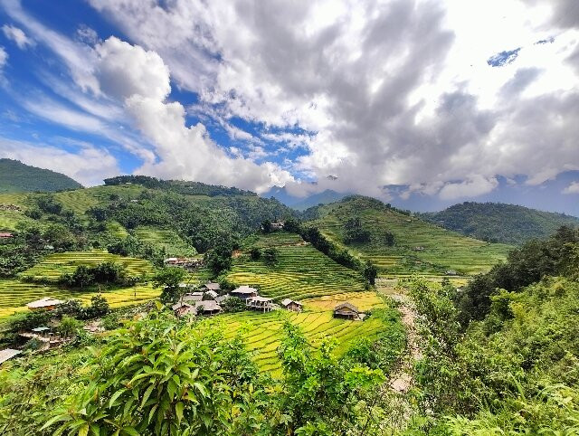 Sapa Buffalo Trekking