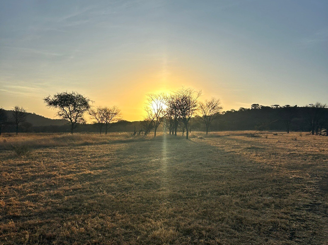 Signature Serengeti Luxury Tented Safari Camp