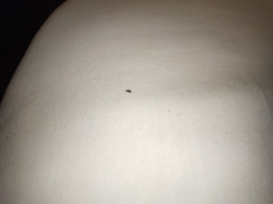 Quinta de Santo Estevao主图