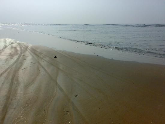 Talasari Beach景点图片