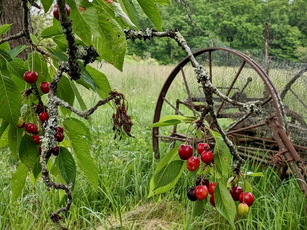 卡斯特伍德酒店主图