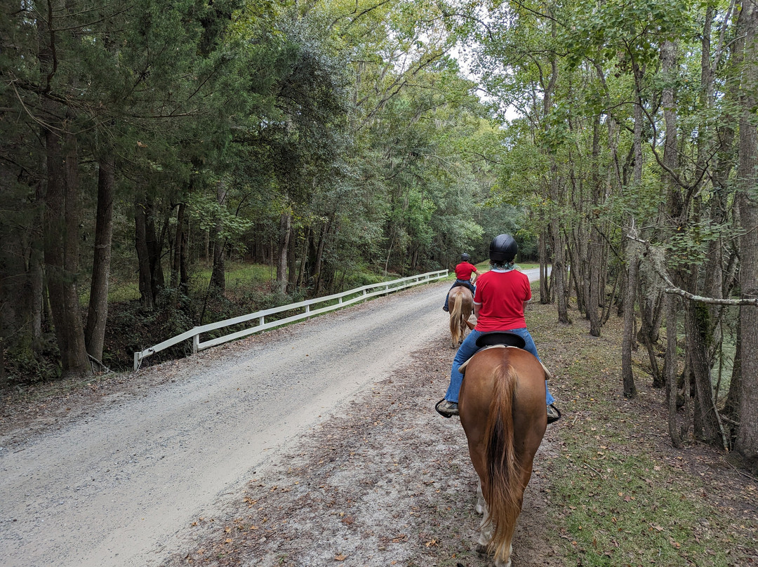 Red Gate Farms Equestrian Center-萨凡纳必去景点